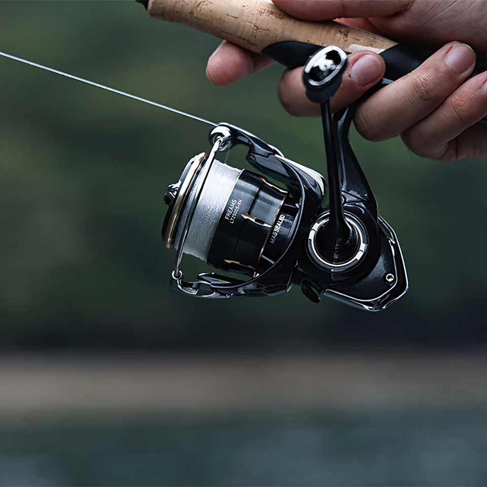 DAIWA 2026 FREAMS Spinning Ree - đánh giá và giá Abu Garcia Reel Revo